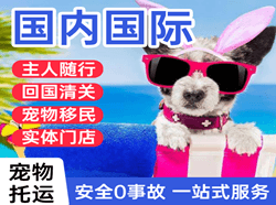 温州机场快递国际宠物托运 【国